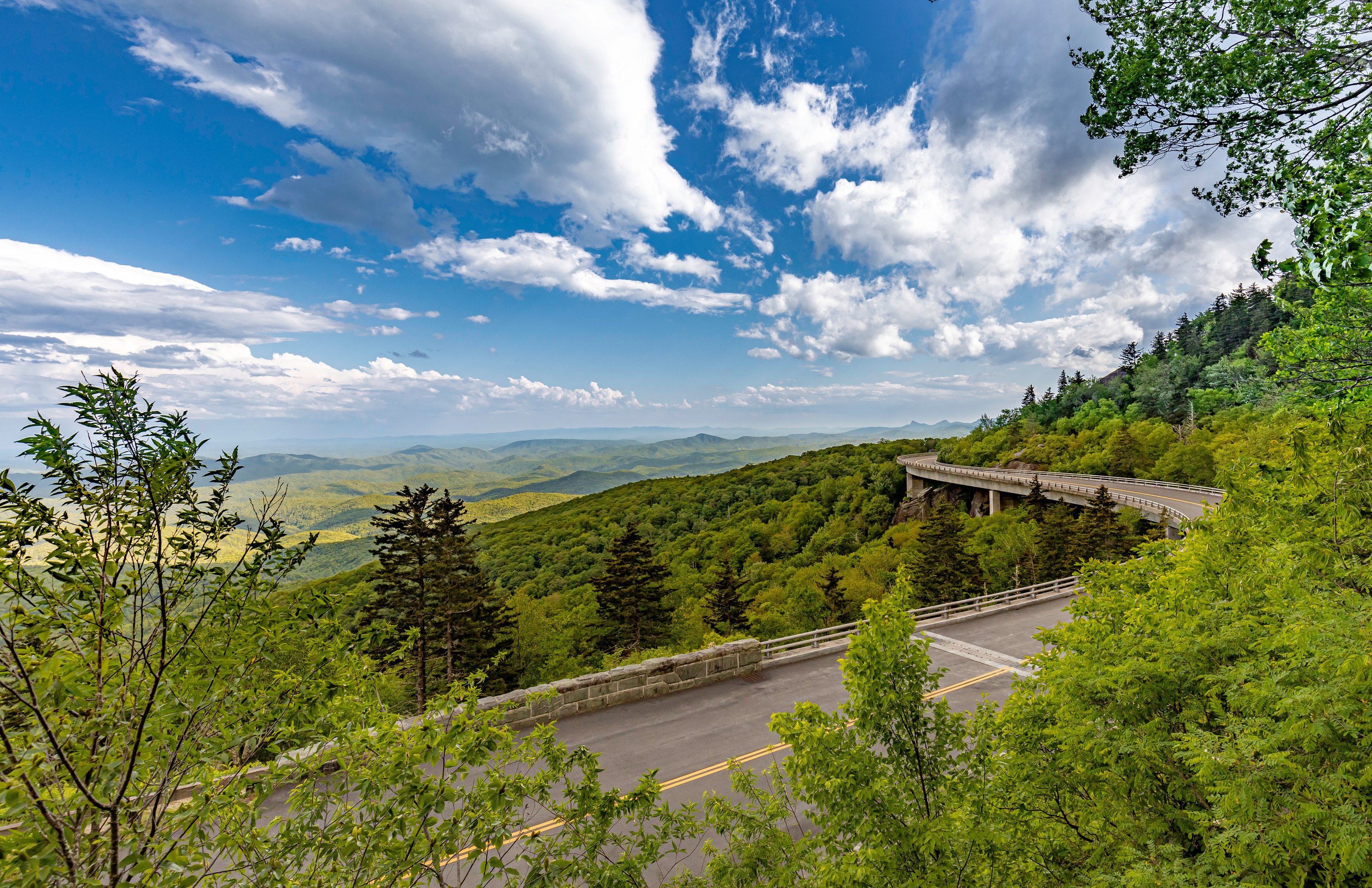 Boone Salt Spring Best Things to Do in Boone, NC in Spring for Visitors