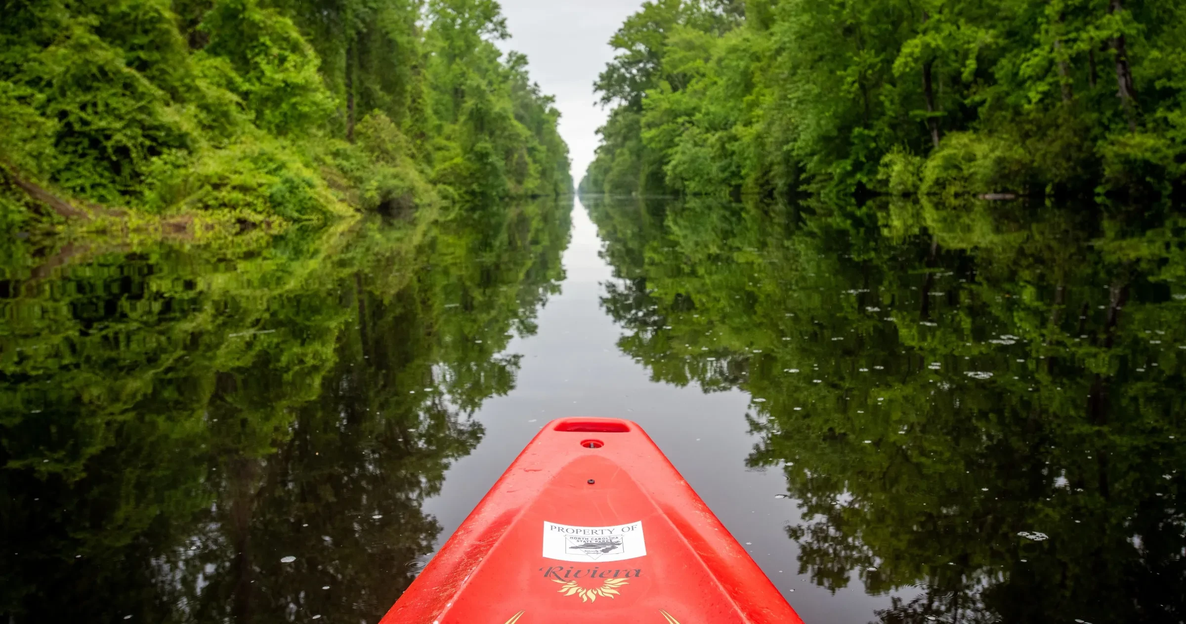 Horizontal shot of front of red kayak in Dismal Swamp Canal, with green foliage reflecting into canal during cloudy daytime.