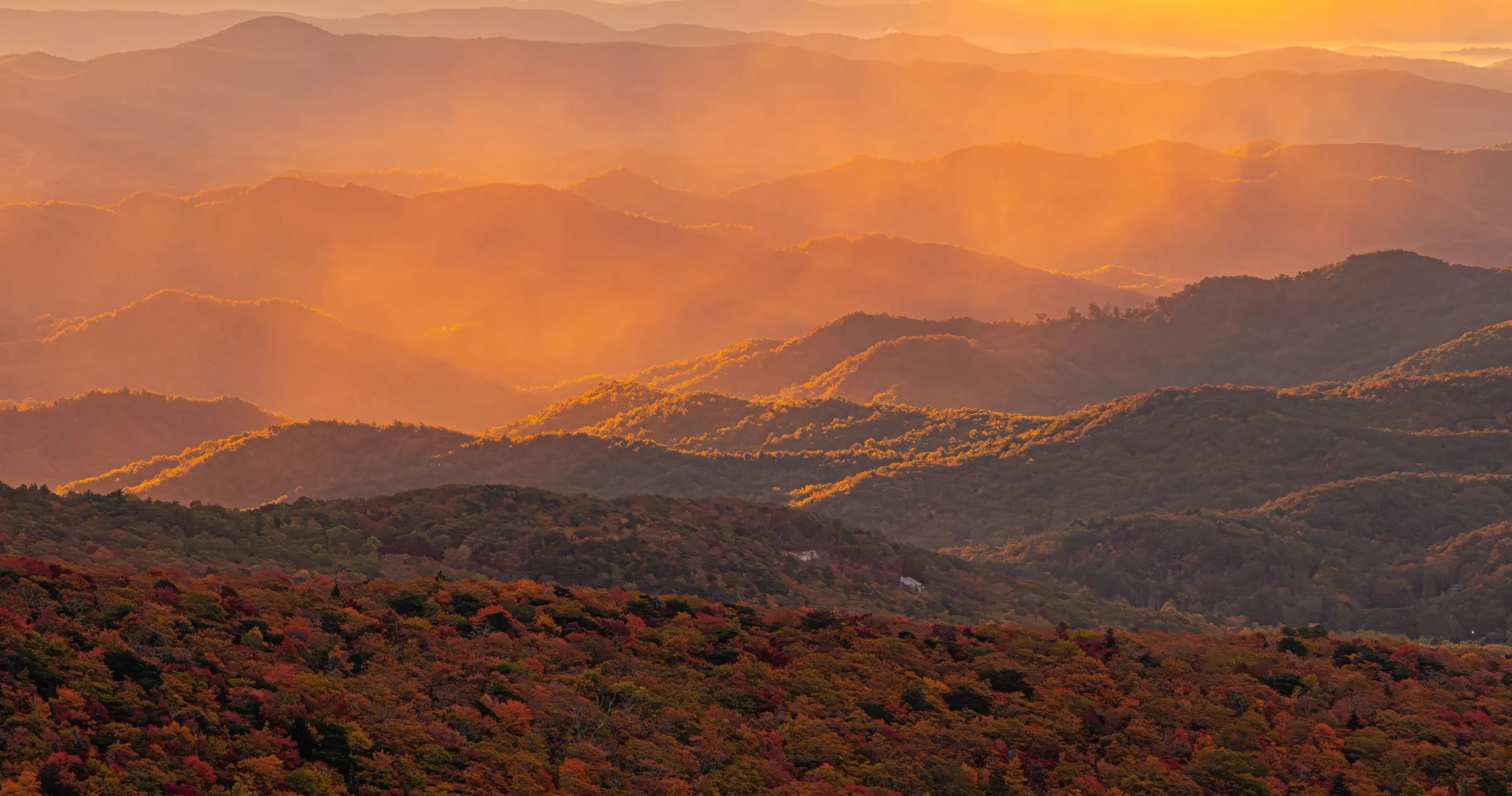 Long range view of peak fall colors of Linville Gorge looking towards Wilson's Creek