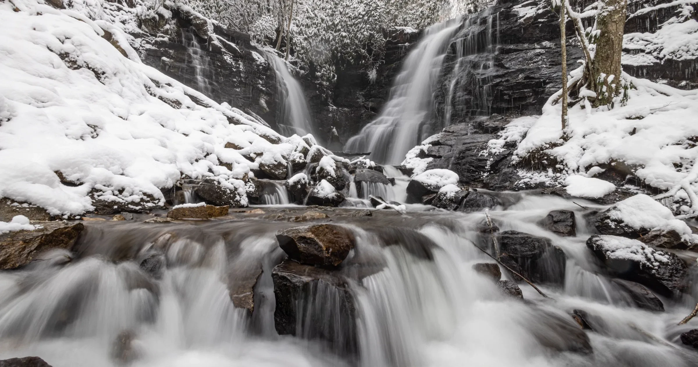 North Carolina’s coast in winter trades the summer bustle for peaceful beaches, breathtaking sunsets and fresh seafood straight off the boat. Pack layers for breezy boardwalk strolls, explore maritime forests without the crowds or even snag a permit and drive on the beach at Fort Fisher State Recreation Area in the offseason.