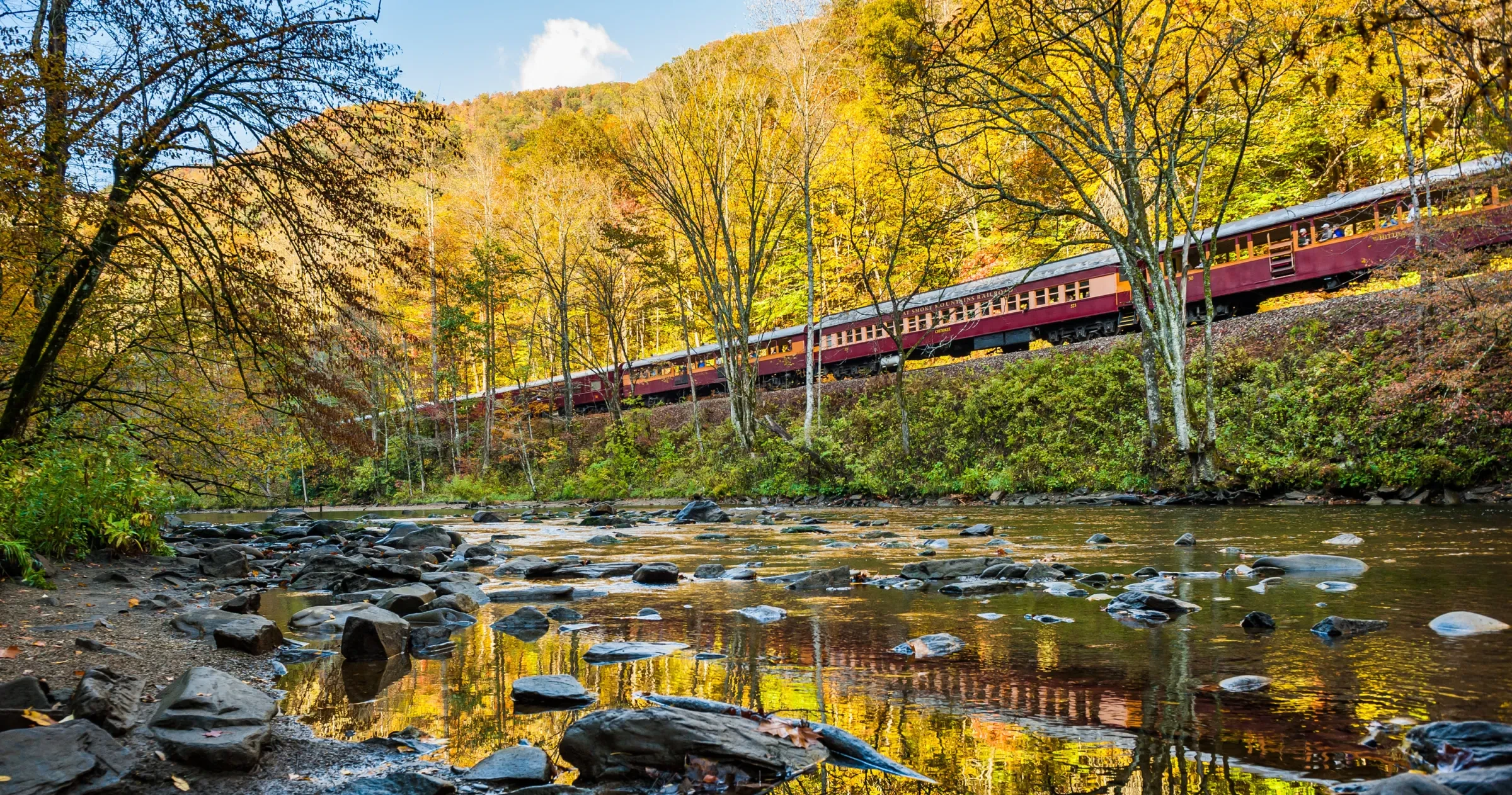 Great Smoky Mountains Railroad train riding through trees with rocky ravine in foreground during fall.
