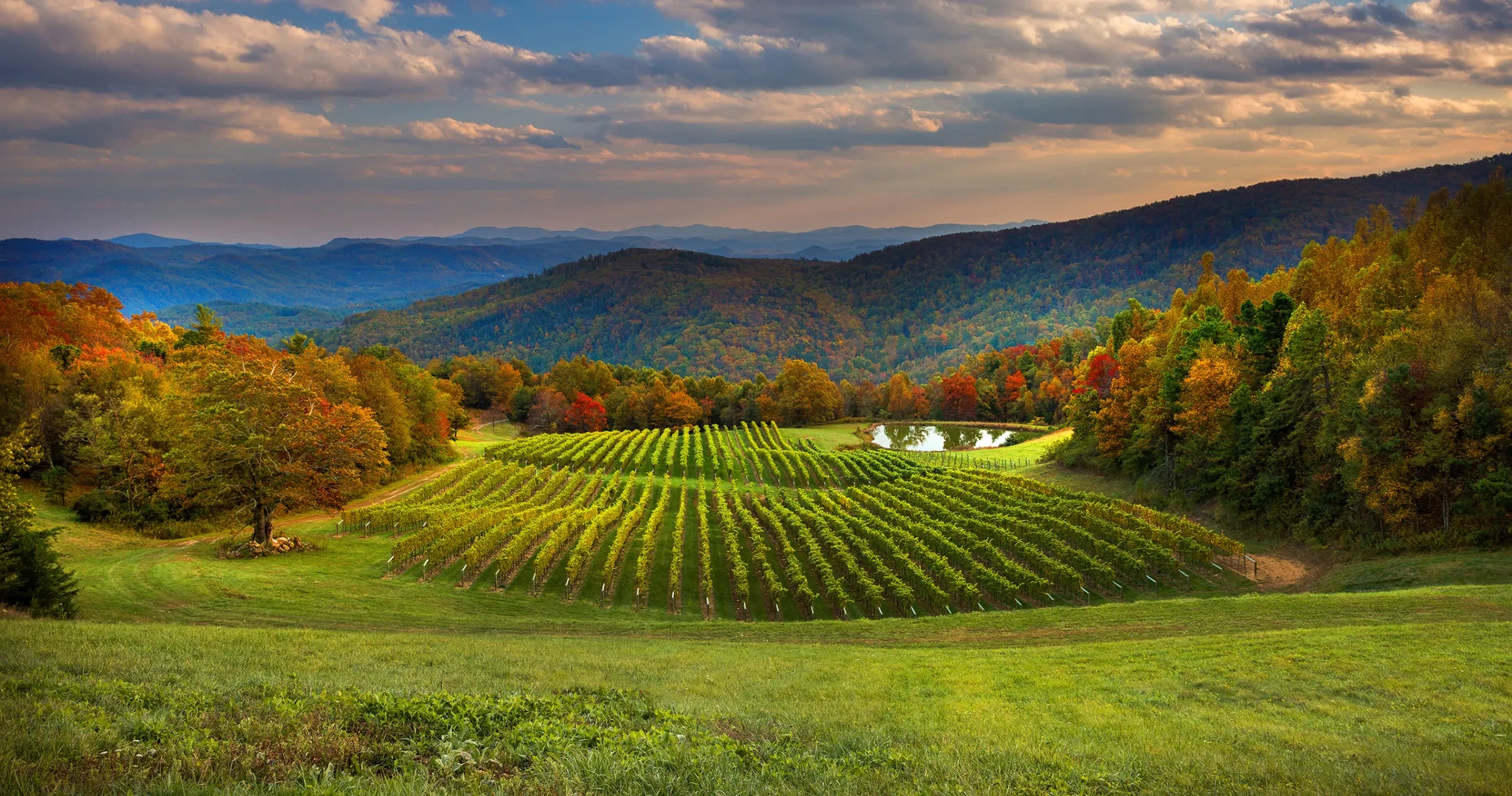 Long-range view of stunning vineyard surrounded by mountains and fall foliage.