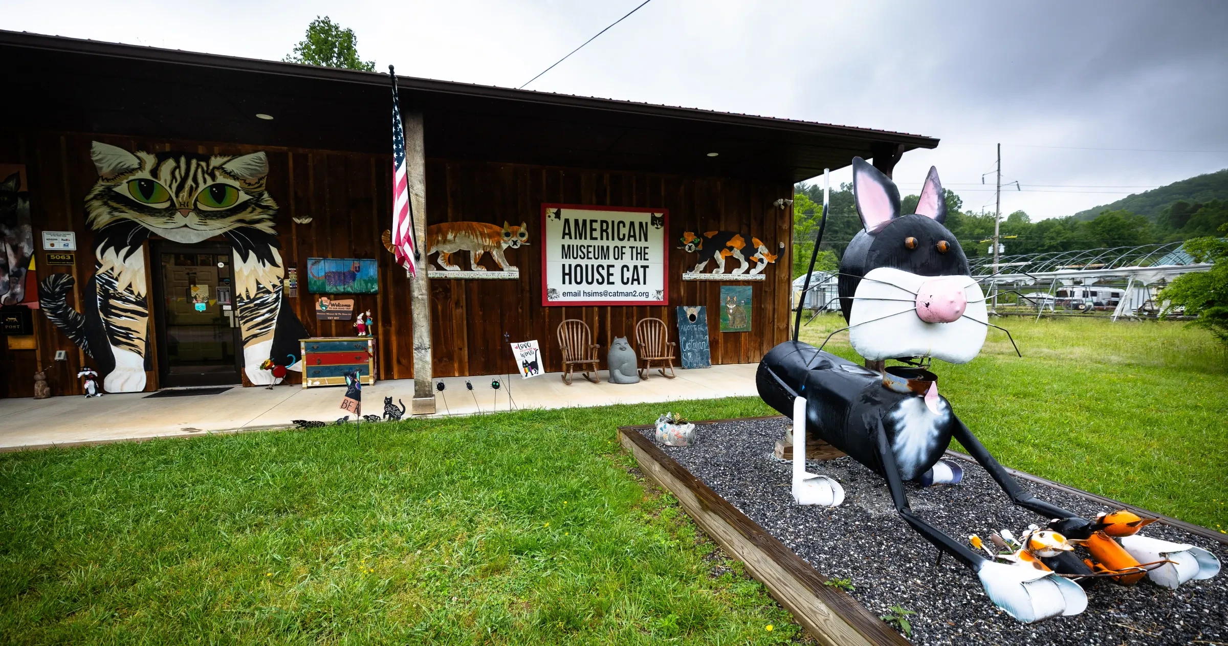 A quirky museum with a large black-and-white cat sculpture outside, cat murals on the wooden building, and a sign reading "American Museum of the House Cat." An American flag and green grass are also visible.