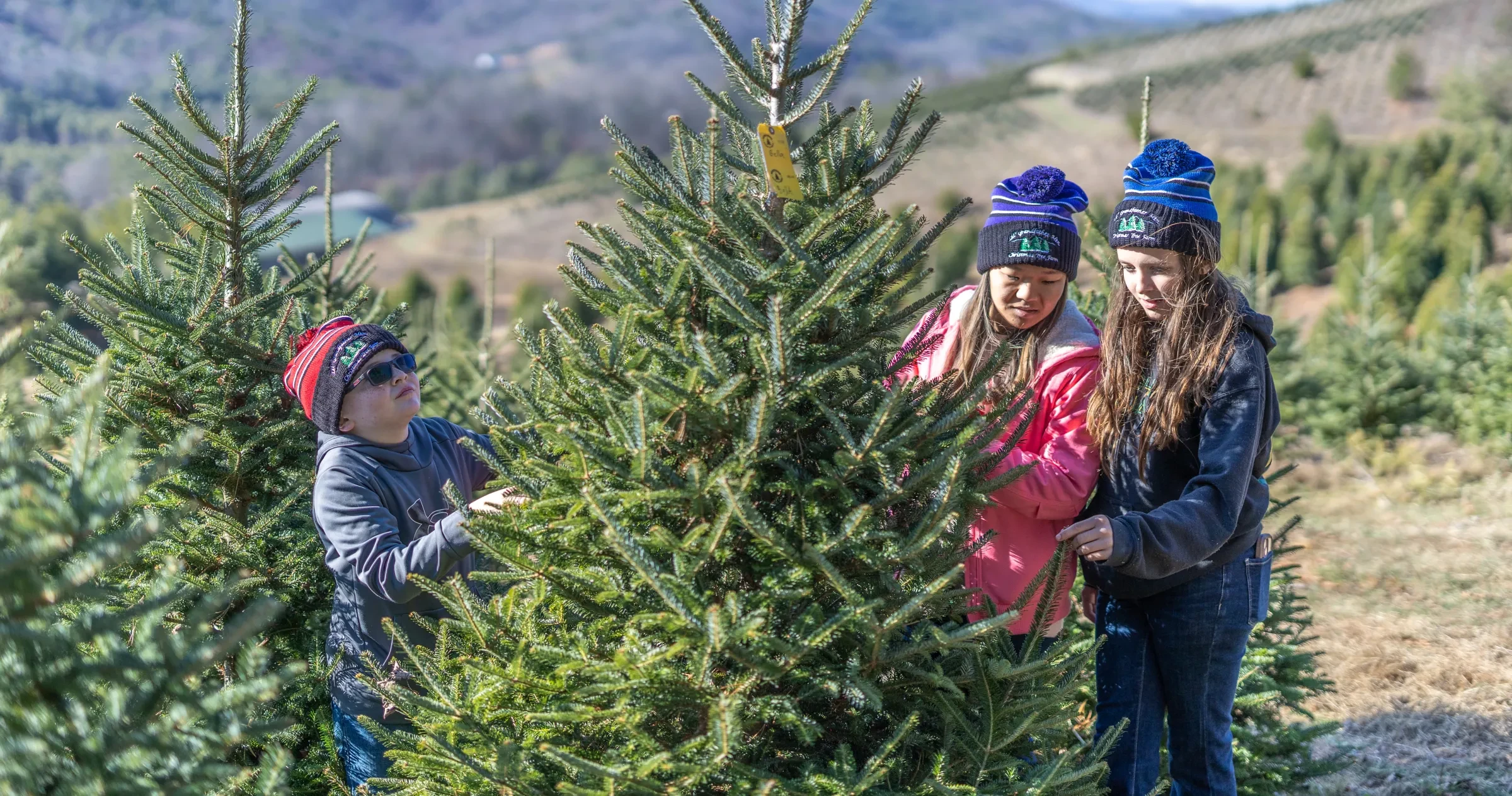 Family looking at Christmas tree at choose-and-cut tree farm during daytime.