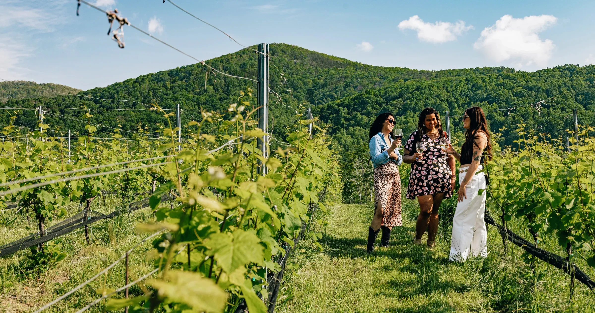 Three friends chatting and drinking wine in Stone Ashe Vineyard rows with mountain in background during beautiful spring day. 