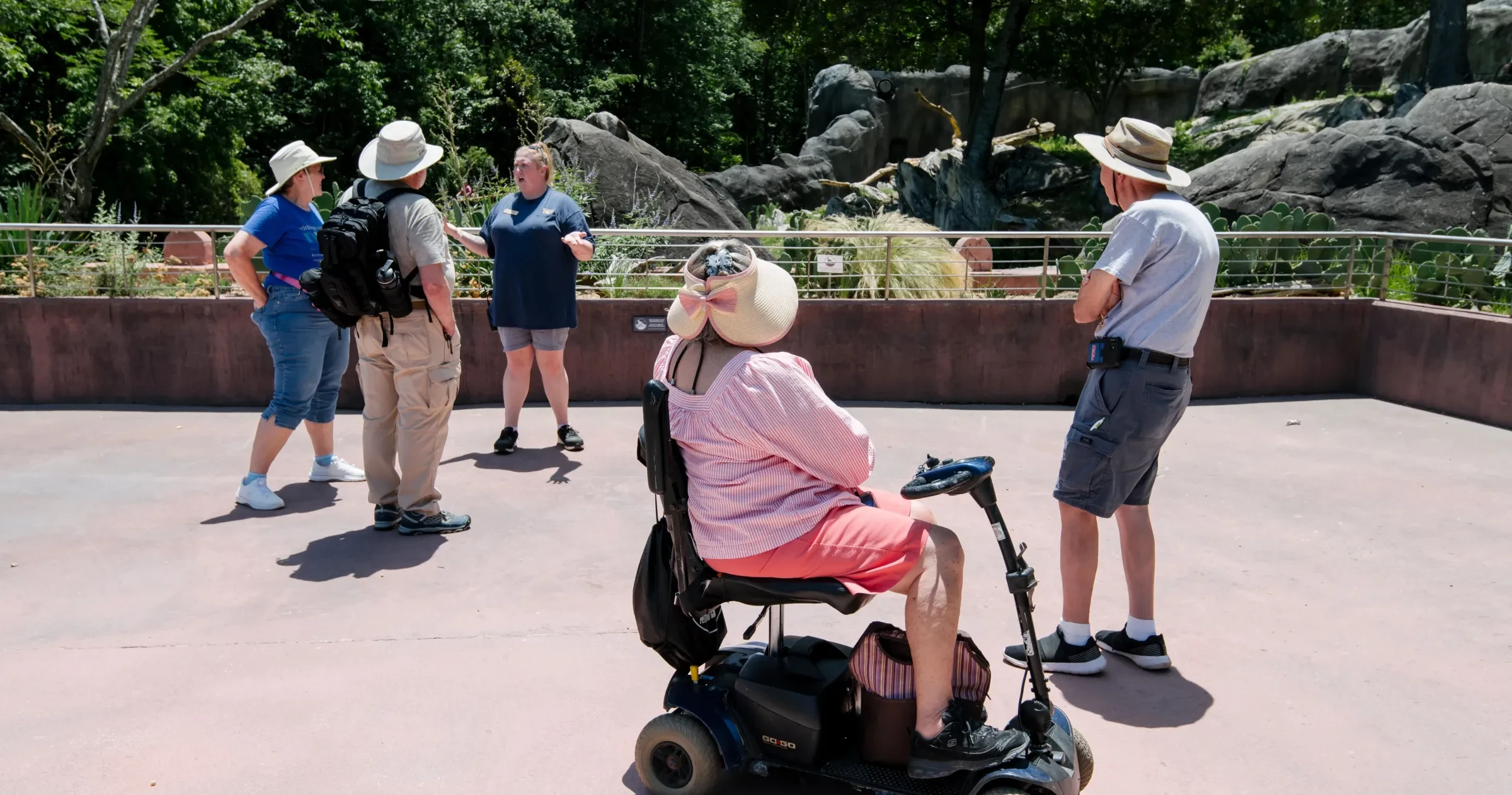 Woman in motorized scooter looking at animal exhibit at NC Zoo