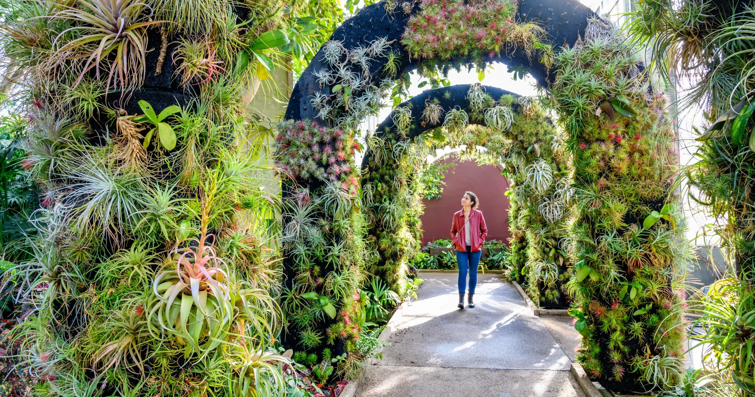 Woman walking through Daniel Stowe Botanical Garden