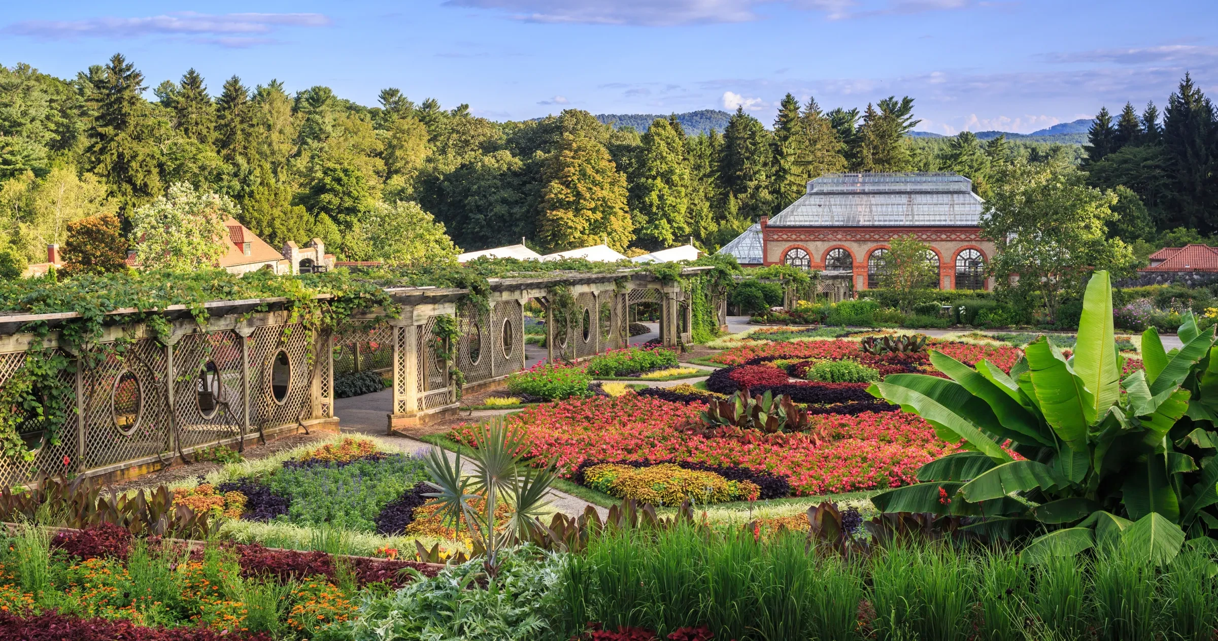 Beautiful blooming gardens at Biltmore Gardens in Asheville.