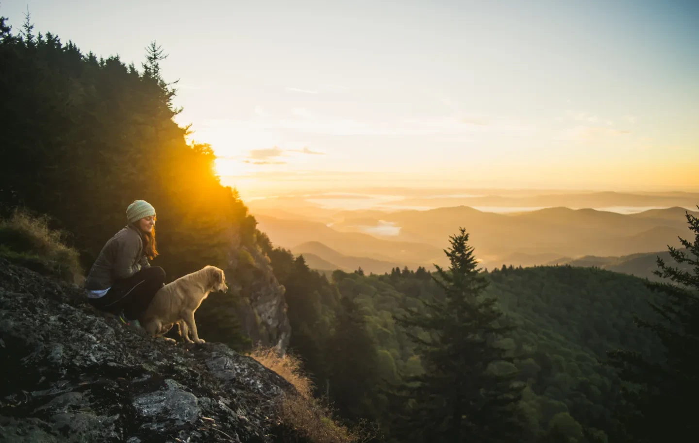 Places to Travel With Dogs: Top Pet-Friendly Destinations Explored