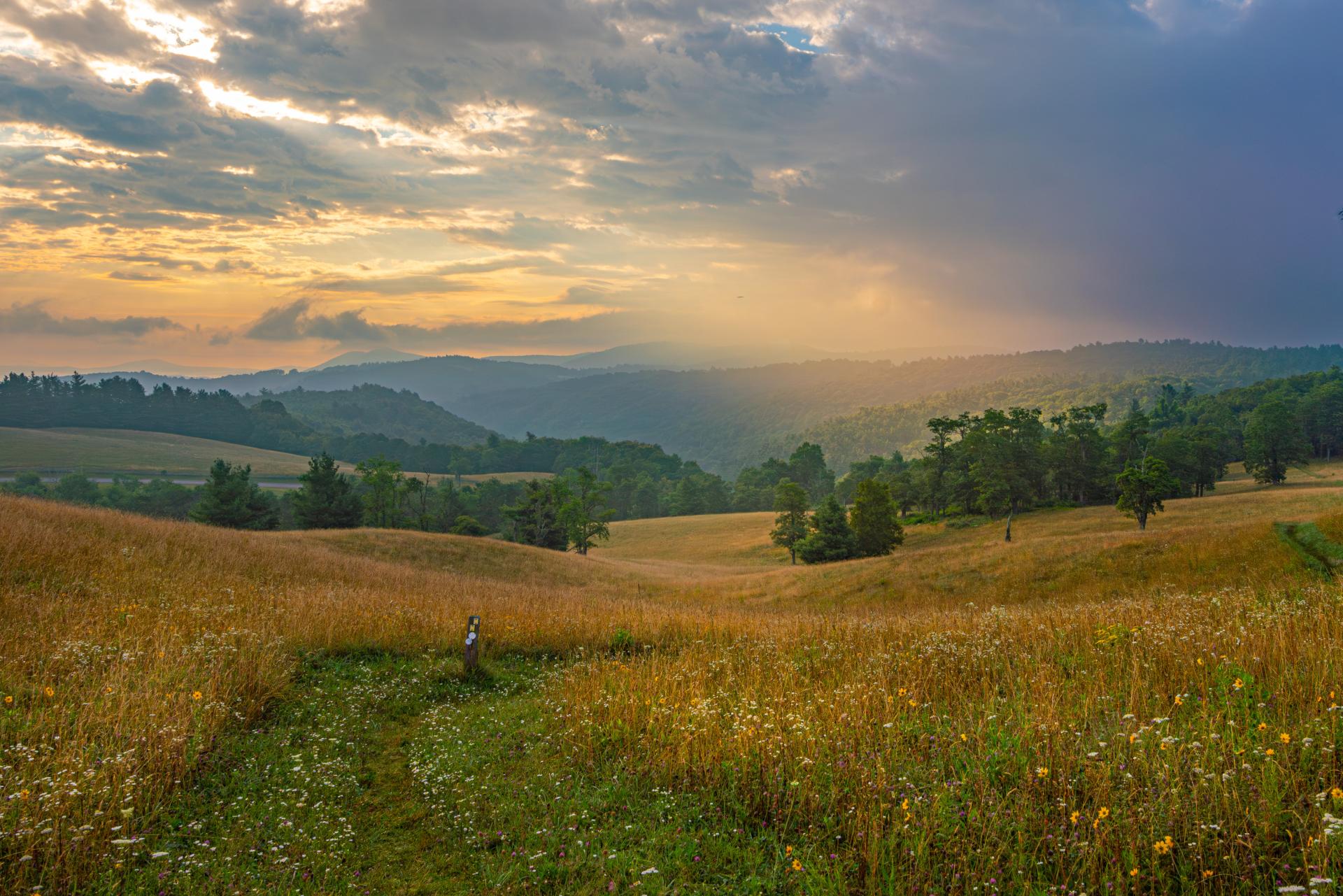 Beautiful landscape of a field with trees and hills of trees in background