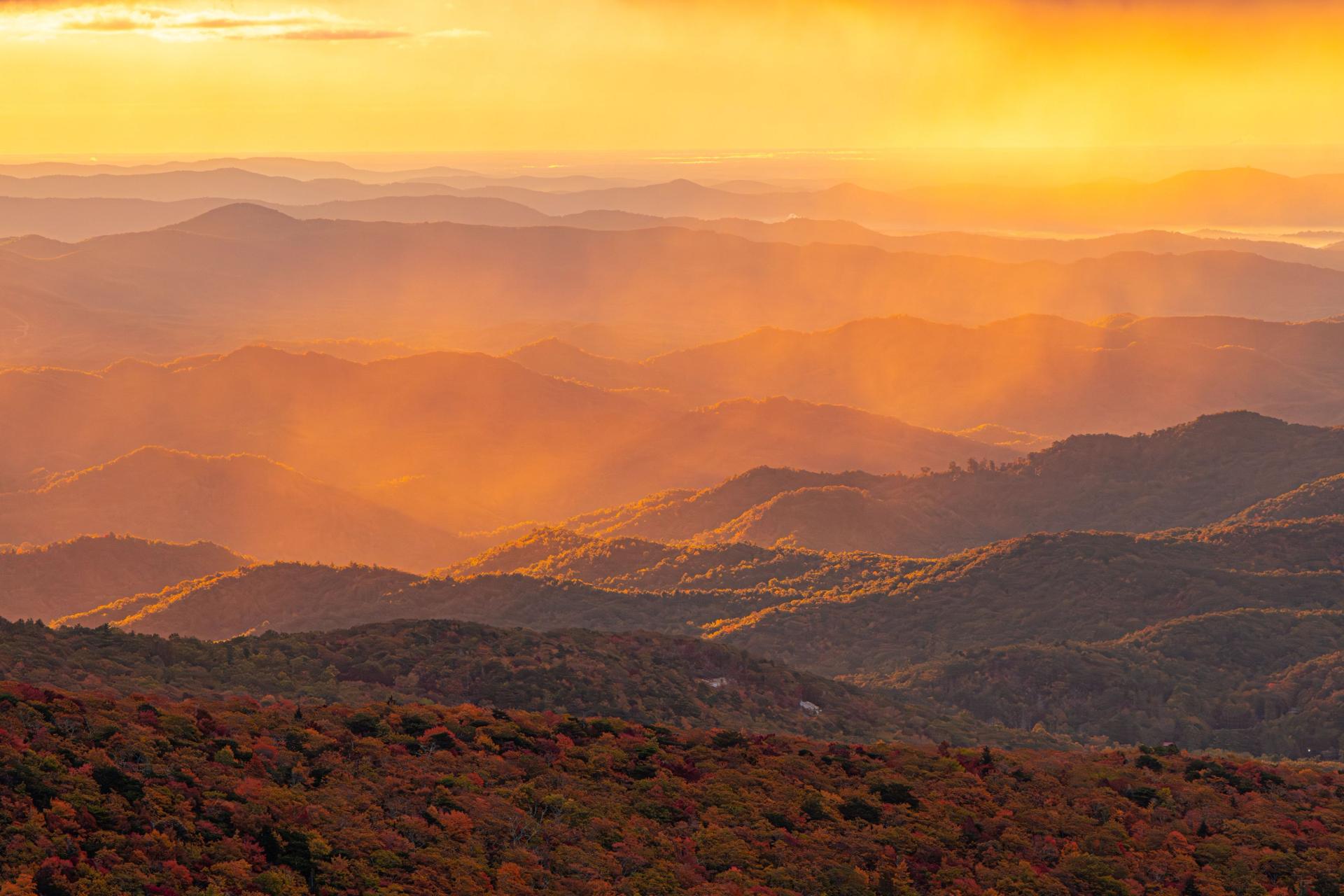 Long range view of peak fall colors in a misty atmosphere near Grandfather Mountain