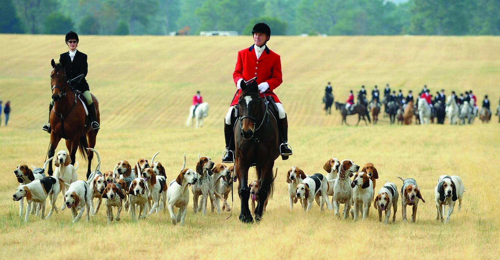 Blessing of the Hounds Visit North Carolina