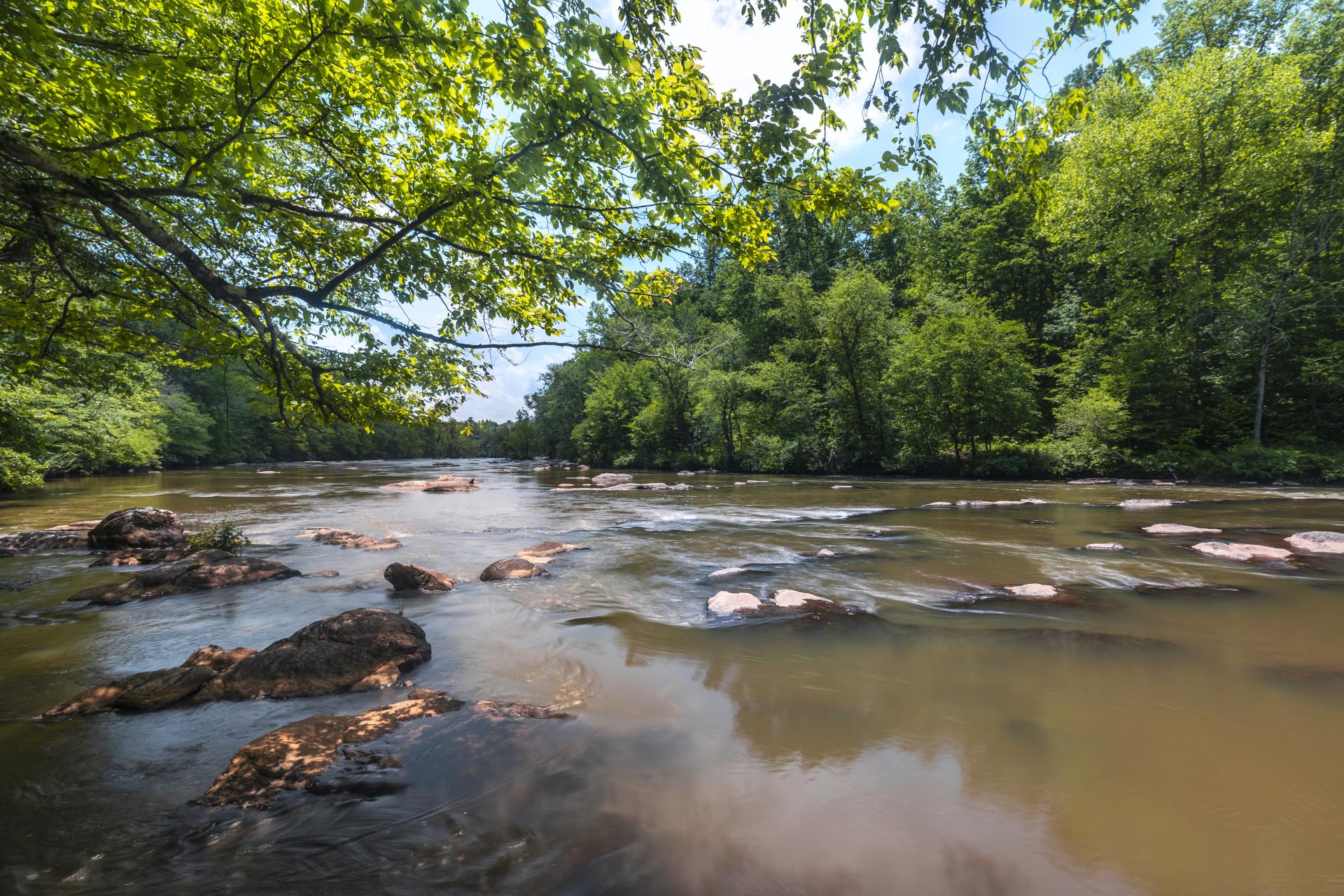 Mayo River State Park, NC | River access & trails