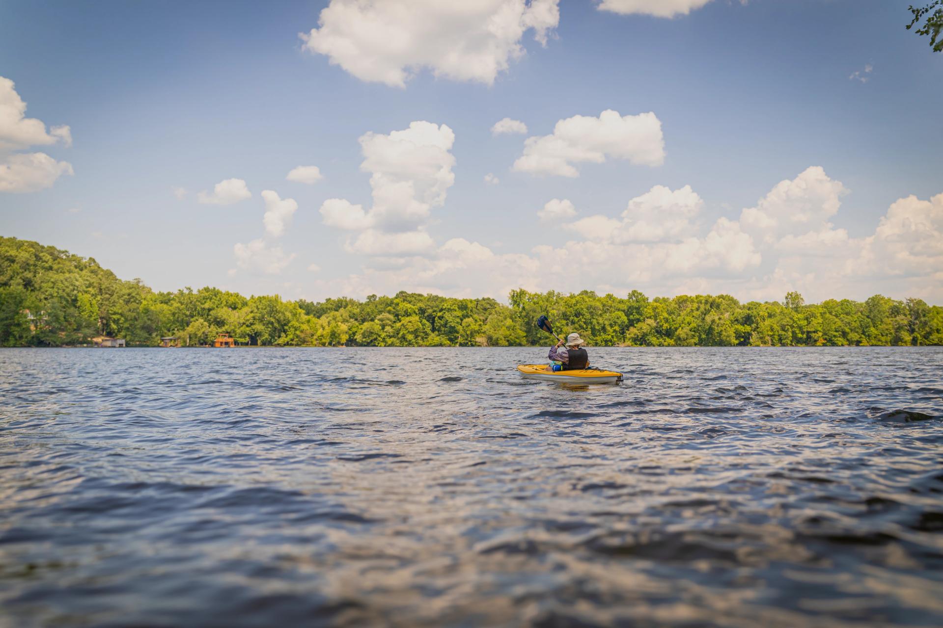 Person kayaking in vast water with tree-lined shoreline in distance in Uwharrie National Forest.
