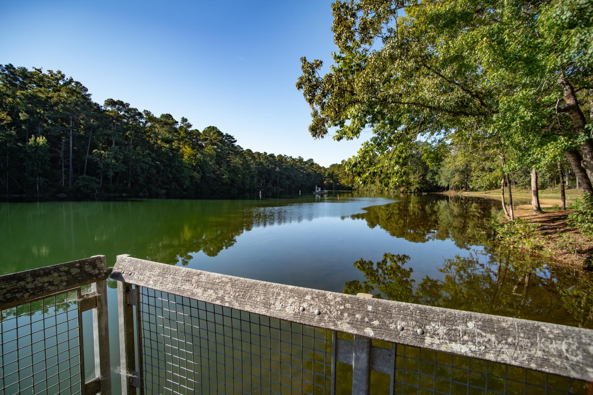 Explore North Carolina from a Native American’s Perspective