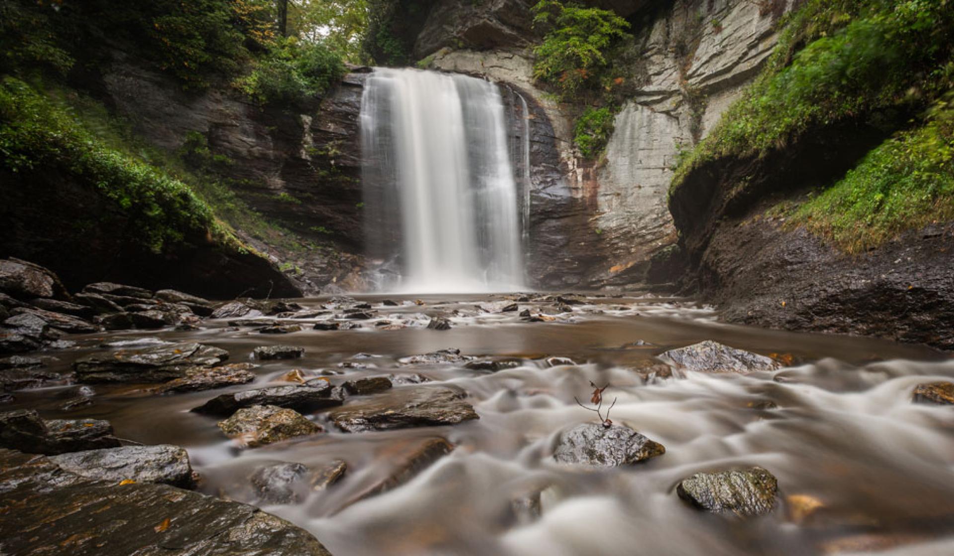 10 Iconic Things to Do in Brevard, NC