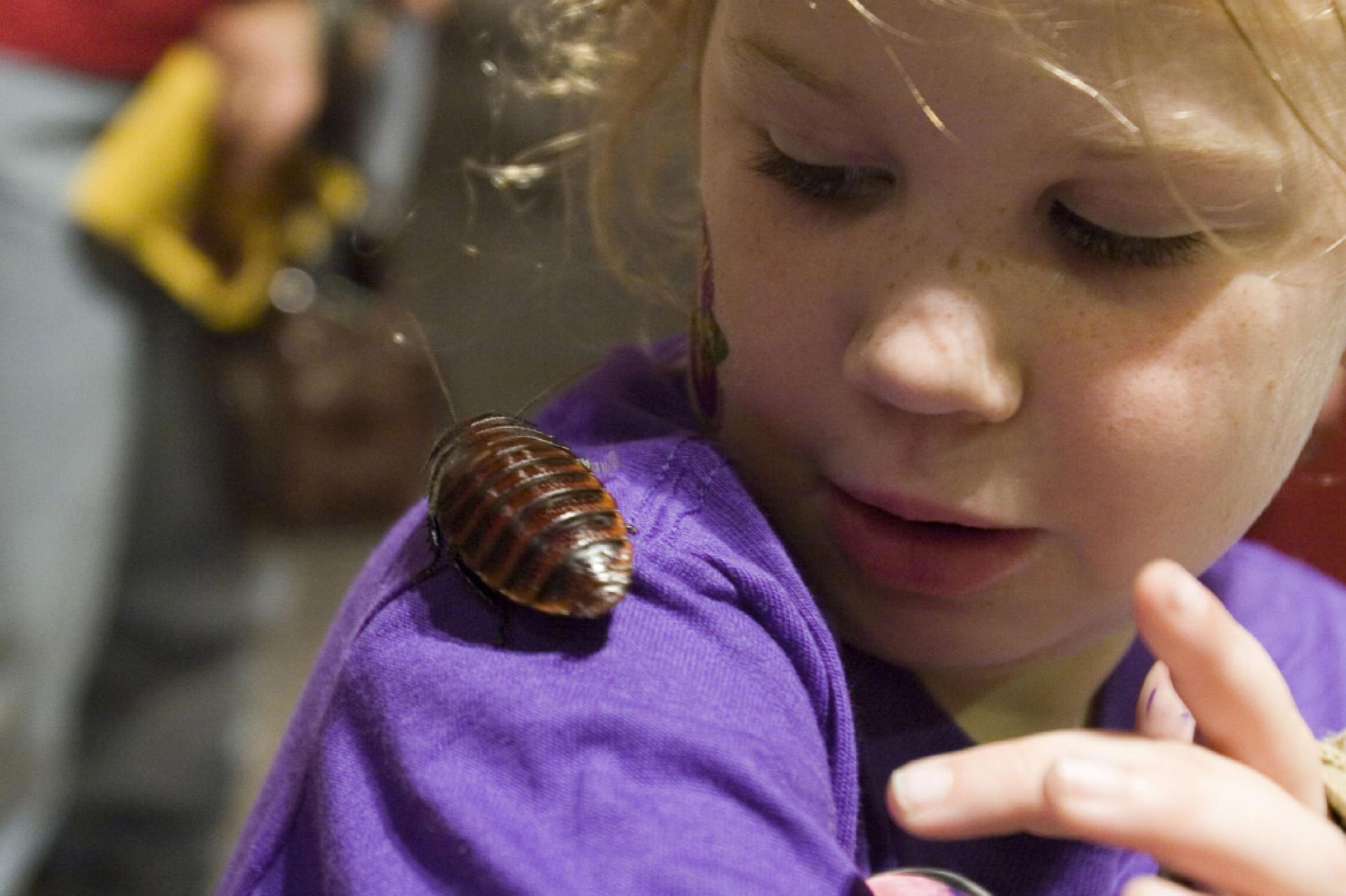 Discover Unusual festivals & events in North Carolina