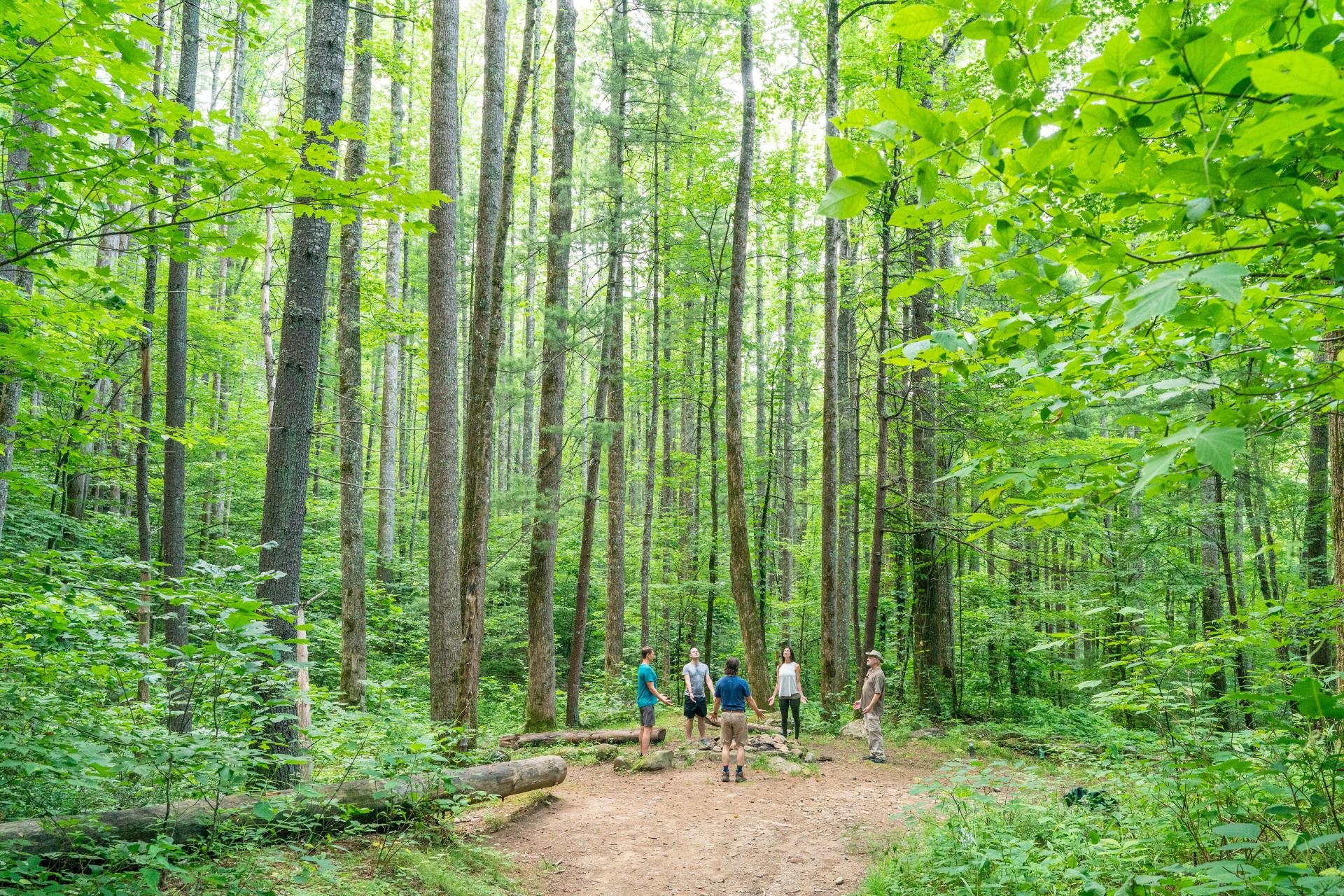 Wellness Retreats, Resorts and Spas in NC