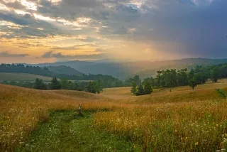 Beautiful landscape of a field with trees and hills of trees in background