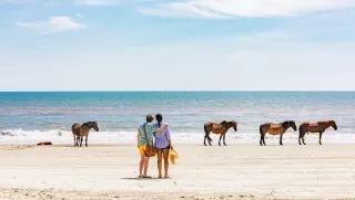 Two people admiring wild horses on beaches of Corolla with ocean in background.