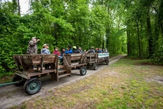 Horizontal shot of people in express wagon ride through state park with green trees and foliage on each side during daytime.