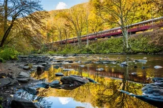 Great Smoky Mountains Railroad train riding through trees with rocky ravine in foreground during fall.