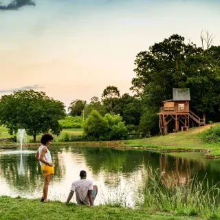 Treehouse Vineyards in Monroe