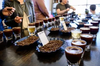Close-up of coffee tasting table at Cocoa Cinnamon in Durham. Table with various bowls of coffee beans and small cups of coffee. People standing around table out of focus.