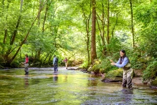 Four people fly fishing in the Tuckasegee River near Cullowhee