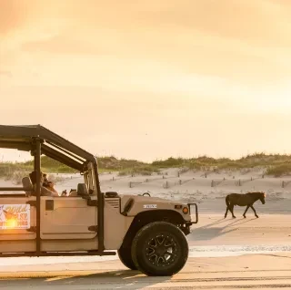 A wild horse walks along a sandy beach at sunset as a tour vehicle with people inside observes from a distance. Dunes and a glowing sky are in the background.
