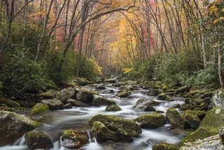 A rocky stream flows through a forest with trees displaying autumn colors of yellow, orange, and red, with green shrubs lining the water’s edge. The water appears smooth, suggesting a long exposure photograph.
