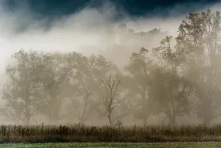 Silhouetted trees and autumn colors shrouded in the mist of Cades Cove in the Great Smoky Mountains National Park.