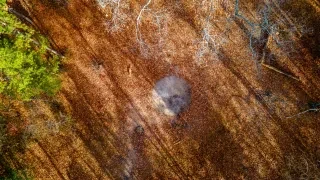 Set back from the main road, Devil's Tramping Ground is an empty patch of woods, a dusty circle, barren of plant life, about 15’ wide where, according to stories dating back to 1882, the devil comes to dance in Chatham County, North Carolina.