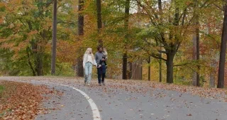 Parents and toddler walking on empty road surrounded by fall foliage in Greensboro.