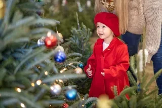 A young girl in a festive red outfit is amazed by a tree at Lil Grandfather Christmas Tree Farm near Grandfather Mountain