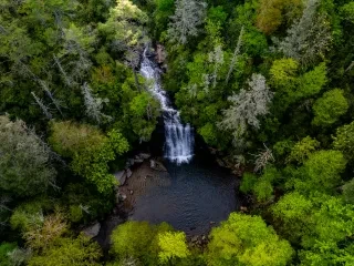 Overhead view of a cascading waterfall within a forest of trees with varying colors of green leaves and needles.