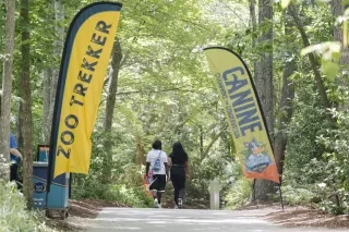 People walk down a path with trees and a Zoo Trekker sign