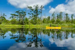 Two people canoeing at Alligator River National Wildlife Refuge in East Lake. Yellow canoe with two female rowers. Blue skies, greenery and blue water with reflection of trees. 