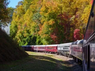 Great Smoky Mountains Railroad train riding through brilliant foliage.