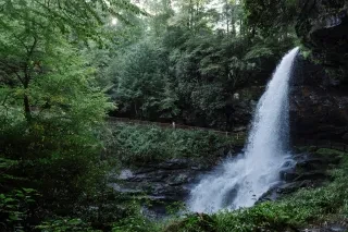 Landscape view of Dry Falls waterfall pouring down onto rocks within a lush green surrounding forest. A person in center takes an image.