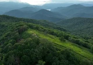 Aerial of stunning green forestry at Siler Bald.