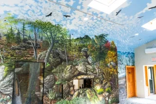 Building interior with a vividly imaged mountain scene painted on the wall