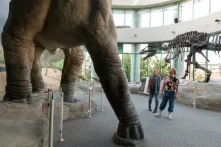 Two friends admiring dinosaur exhibit at NC Museum of Natural Sciences in Raleigh with another dinosaur behind them.