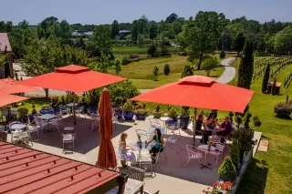 People sitting on a patio with vineyard view