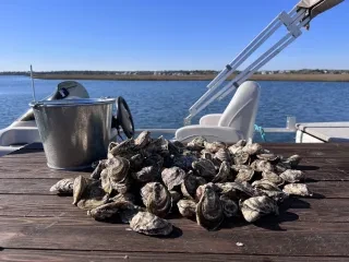 Pile of oysters and a silver bucket sitting on a table on a boat with water and land in background.