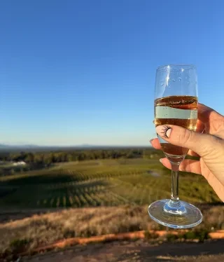 Manicured hand holding glass of bubbles in front of camera with vineyards in background.