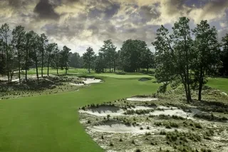Long range range views of Pinehurst No. 2 at Pinehurst Resort during daytime.