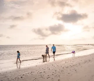 Family of four with a dog strolling along the ocean shoreline during daytime.