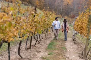 Couple holding glasses of wine walking through vineyard sporting fall foliage.