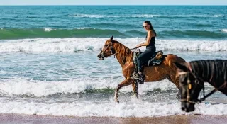 Woman riding horse in ocean waves during daytime.